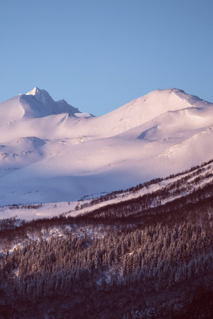 beautiful Norwegian landscape. Norway. winter morning in the mountains. trees in hoarfrost