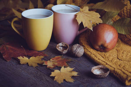 cozy autumn tea - tea with milk, apples, nuts and a warm sweaterの写真素材