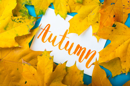 atmospheric autumn background   autumn leaves with the inscription  autumn