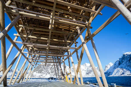 construction for drying cod. guide to Reine on Norway Lofoten Islands. Norway
の写真素材