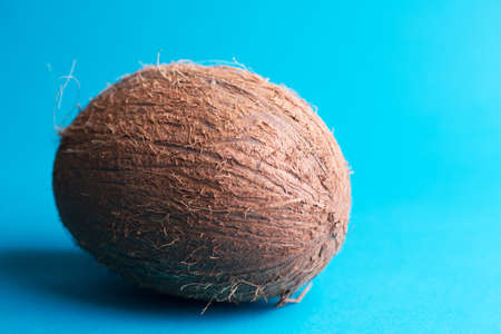 big coconut on a blue background. tropical fruitの写真素材
