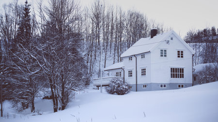 traditional norwegian wooden house and forest with mountain in the distance. Norway. world travel