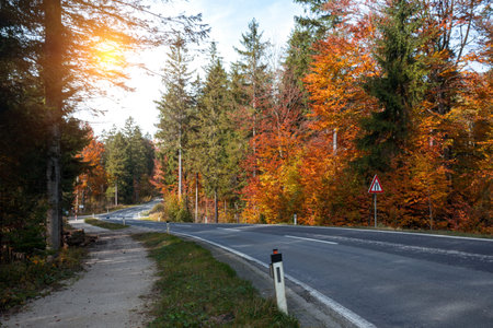 beautiful landscape. mountain road - road in the mountains of austria. autumn