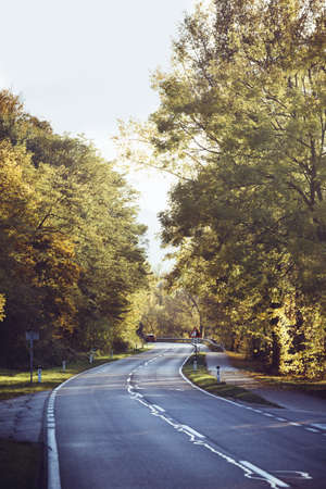 beautiful road in the sunlight. Wachau Valleyの写真素材