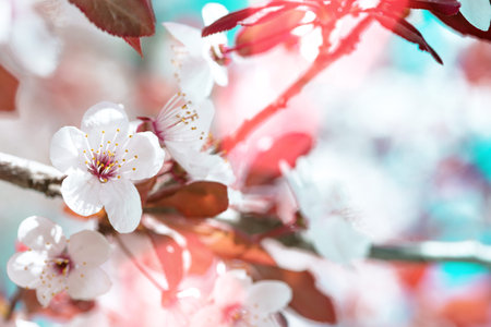 tree branch with buds and flowers, spring. floral background