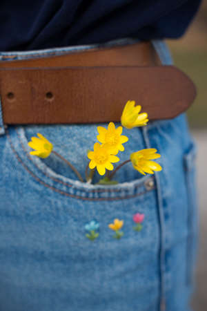 beautiful background. yellow flowers in jeans pocketの写真素材