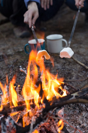 Two girls on picnic in the forest sitting around the campfire and fry marshmallows