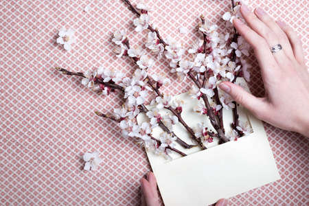 sprigs of blossoming apricot in an envelope and female hands. floral background. spring and easterの写真素材