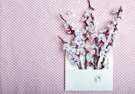 sprigs of blossoming apricot in an envelope on a wooden background. floral background. spring and easterの写真素材
