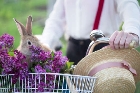 spring in the village. girl with a bicycle on a walk and a bouquet of lilacs with a rabbit in a bicycle basket. spring moodの写真素材