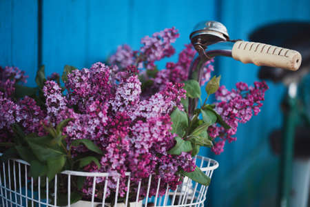 spring in the village. bicycle basket with a bouquet of lilacs. spring moodの写真素材