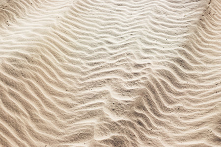 summer. sand background on the beach