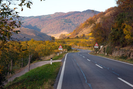 Mountain road - road through the vineyards at sunset. Wachau Valley