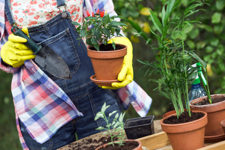 girl planting flowers  in the garden. flower pots and plants for transplanting. Lifestyleの写真素材