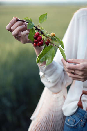 girl holding a sweet cherry branch. beautiful background.の写真素材