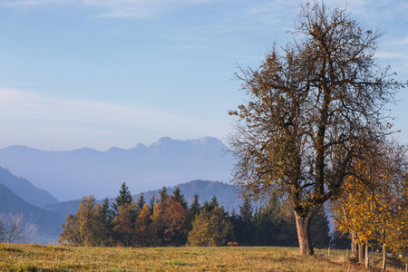 beautiful mountain landscape in the austrian mountains. mountains silhouettes in morning fog and...
