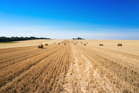 aerial view Round Bales at the field. beautiful landscapeの写真素材