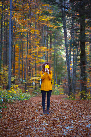 autumn - girl holds a maple yellow leaf