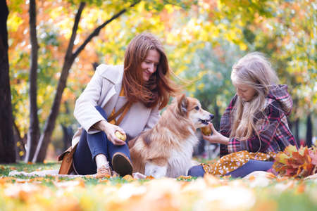 dog in the family - beautiful corgi fluffy on green lawn and mother with daughterの写真素材