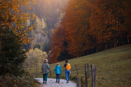 mountain trip. family walks in the woods in the mountains