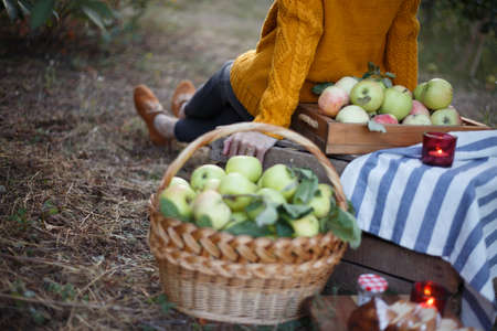 picnic in the garden. happy girl and basket  with juicy apples in the gardenの写真素材