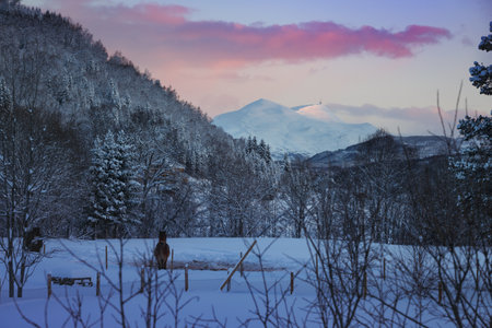 beautiful Norwegian rural landscape. Norway. beautiful snowy village in the mountainsの写真素材
