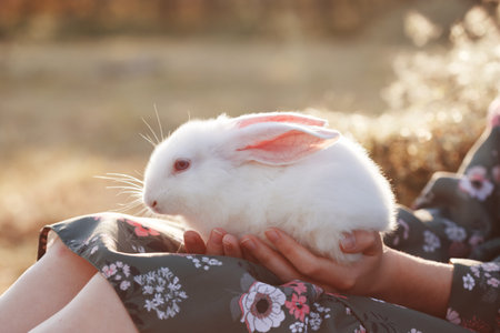 girl holding a rabbit  in the garden.の写真素材
