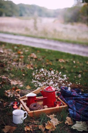 picnic in the forest. tea and donuts. fall and relax
