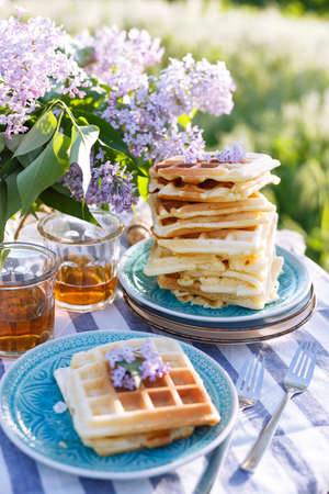 breakfast in the garden - Belgian waffles and cup with teaの写真素材