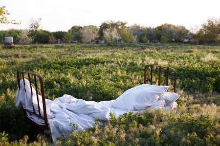 bed in a green field. healthy sleep in nature