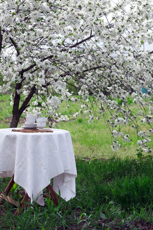 steel life - breakfast in the spring garden. table with white tablecloth served for tea drinking