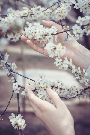 beautiful background. flowering tree and female hand