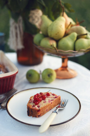 garden and still life. tea party in the garden - a piece of currant pie on a plate, vase with...