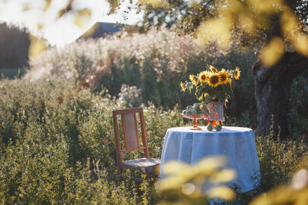 garden and still life - a vase with sunflowers and pears on a table with a white tableclothの写真素材