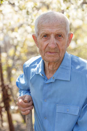 portrait of  senior man standing in the garden against a background of cherry blossomsの写真素材