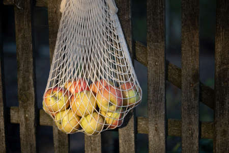 bag from macrame with apples hanging on the fence against the backdrop of the vegetable garden. aesthetics of rural lifeの写真素材