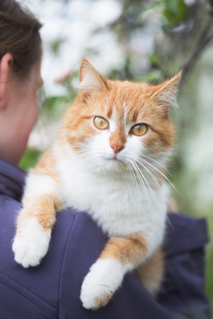 girl holding a beautiful ginger cat in her arms