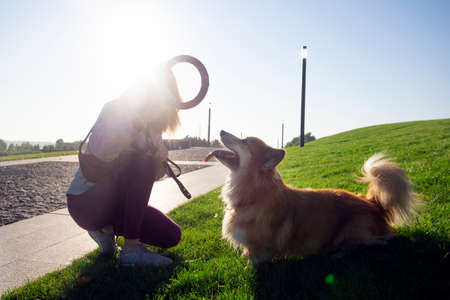training - girl and dog corgi walking in the parkの写真素材
