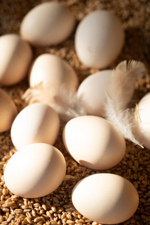 eggs lie on the wheat. rural background