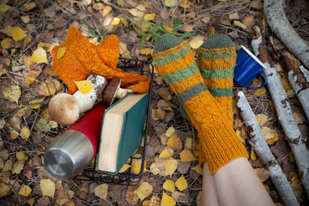 cozy autumn - girl resting in nature. woolen socks, a flask with a cup, a book and mushrooms in the basketの写真素材