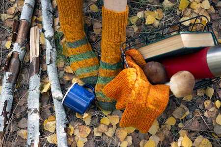 cozy autumn - girl resting in nature. woolen socks, a flask with a cup, a book and mushrooms in the basketの写真素材