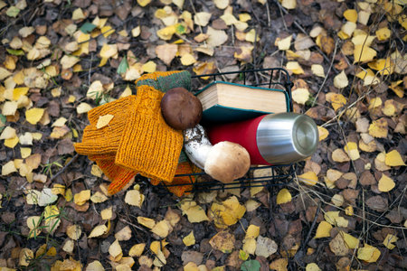 beautiful autumn still life. cozy autumn - woolen socks, a flask with a cup, a book and mushrooms