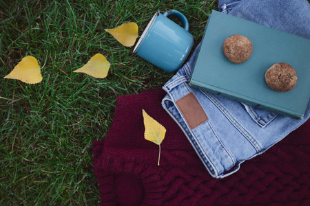 autumn background - on the grass a red sweater, jeans, a cup, a book, leaves. color balance