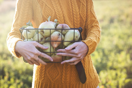 happy girl holds  basket  with pears in the garden. aesthetics of rural life