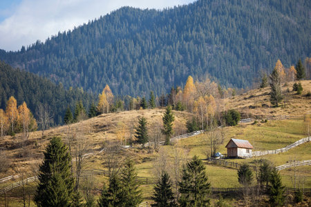 beautiful mountains Ukrainian landscape. Pasture and old wooden house on a background of mountains....
