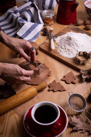 preparing for christmas. girl prepares gingerbread. hands in the frameの写真素材