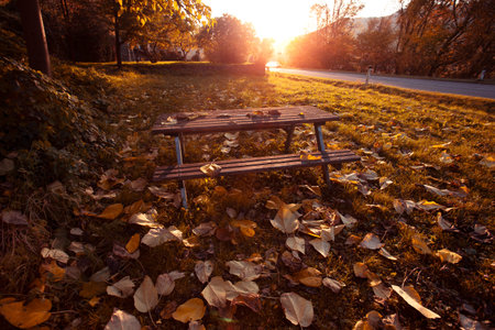 beautiful autumn background. table and benches for relaxing on the autumn road at sunset