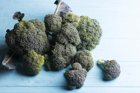broccoli on a blue background. summer harvestの写真素材