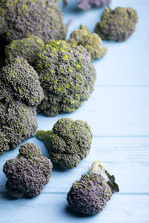 broccoli on a blue background. summer harvestの写真素材