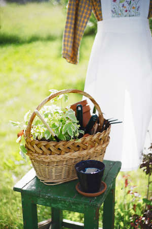 garden and flower transplant. apron with embroidery on the background of the gardenの写真素材